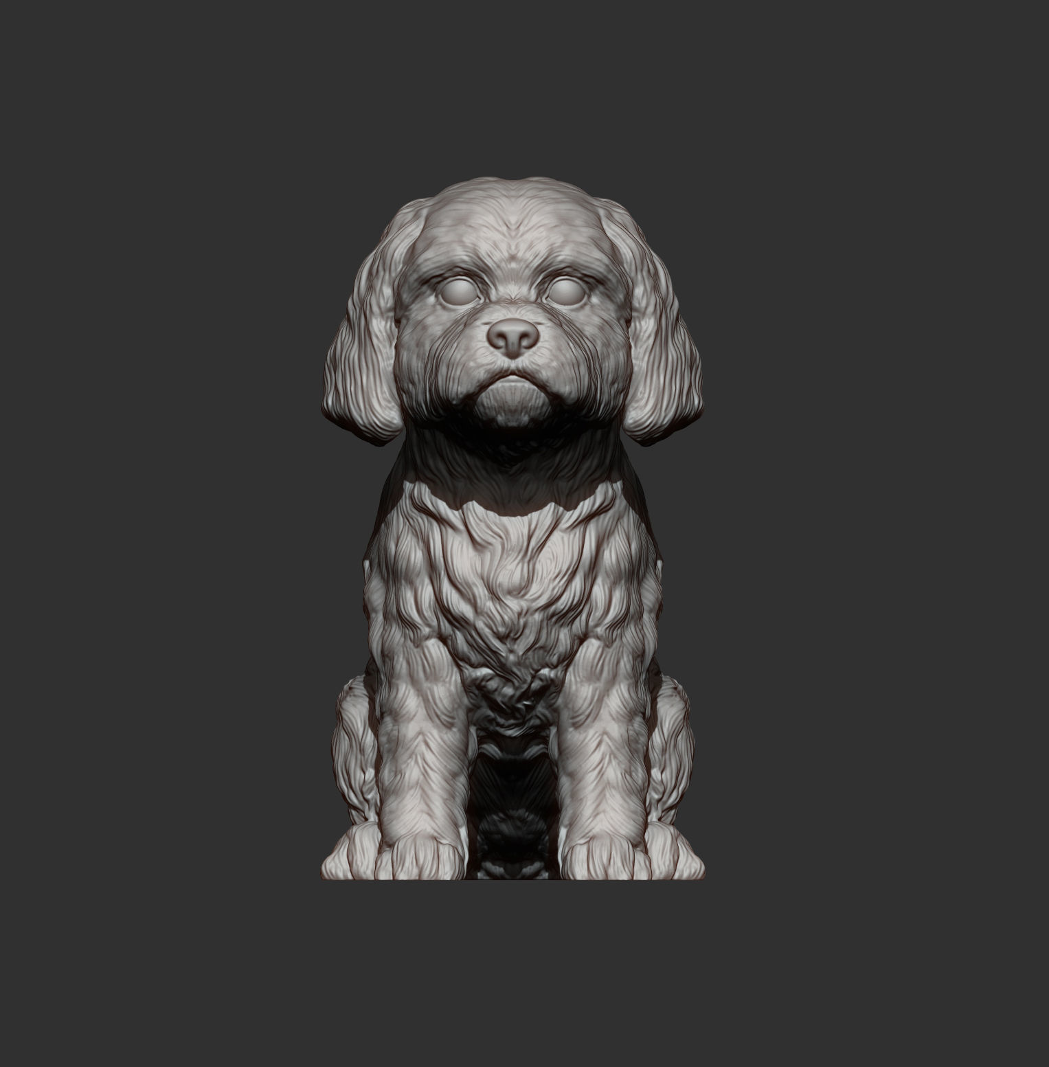 Maltese dog sitting 3D print model_9