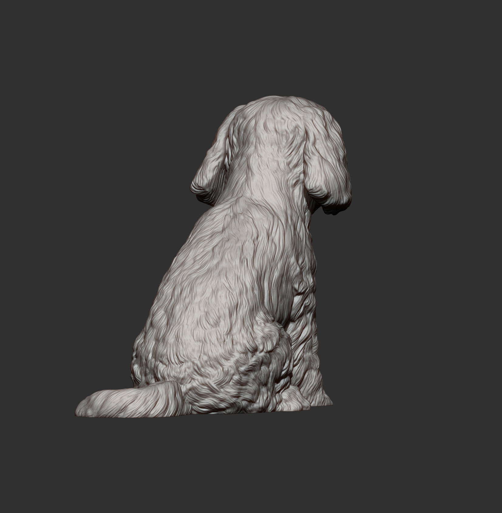 Maltese dog sitting 3D print model_8
