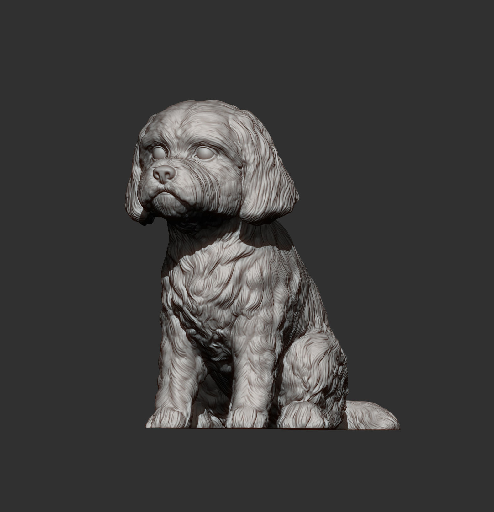 Maltese dog sitting 3D print model_10