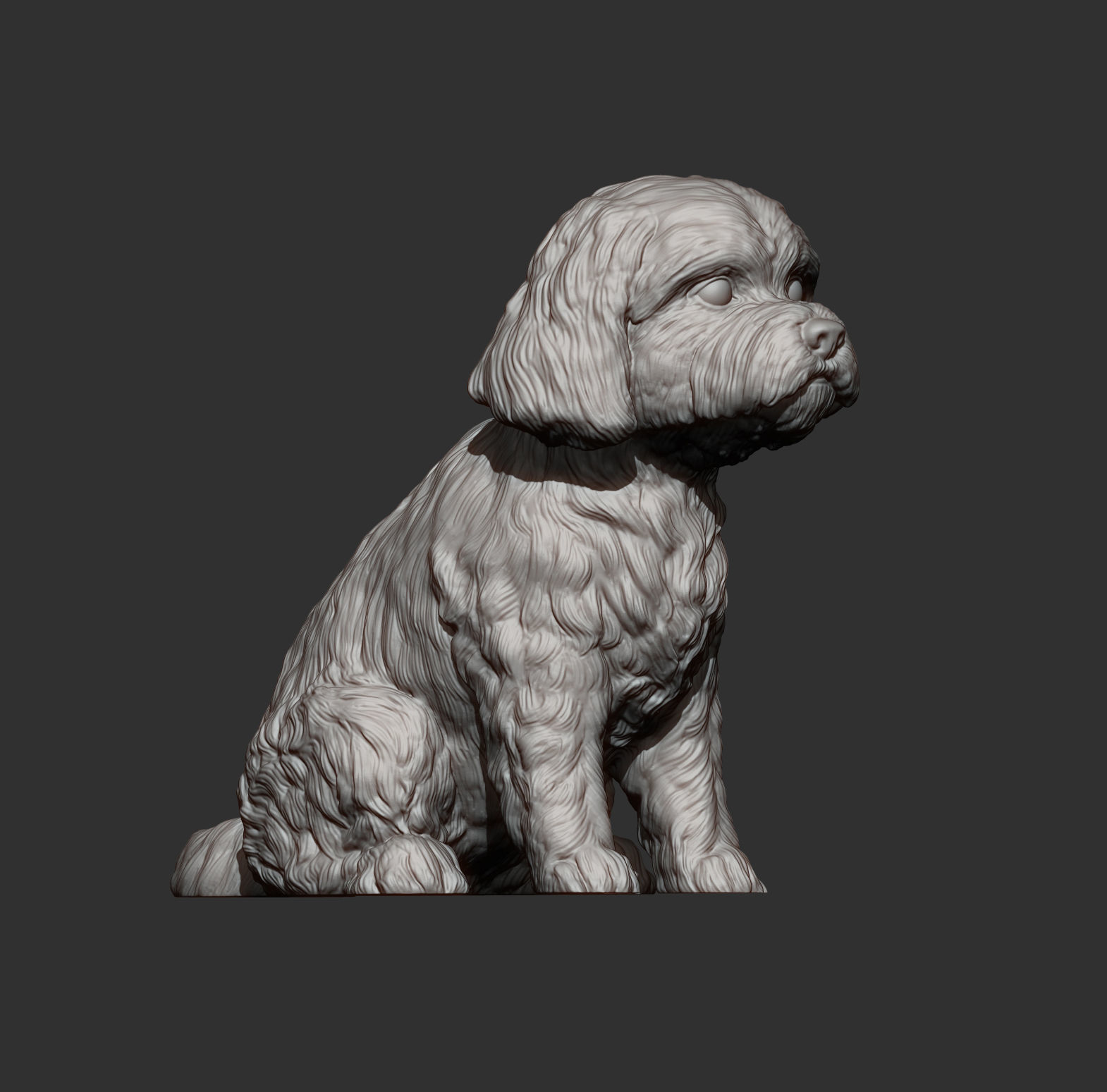Maltese dog sitting 3D print model_7