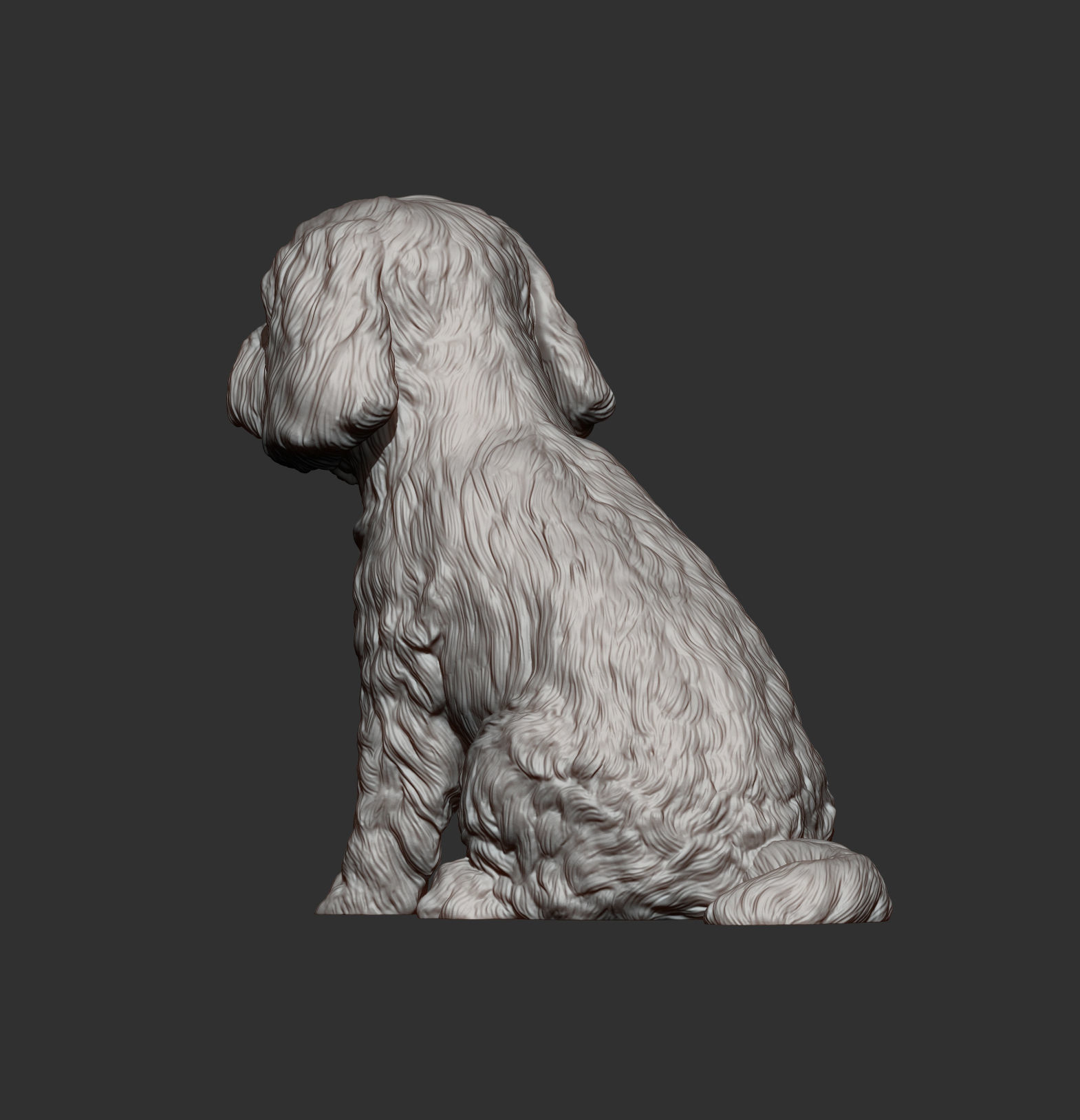 Maltese dog sitting 3D print model_6