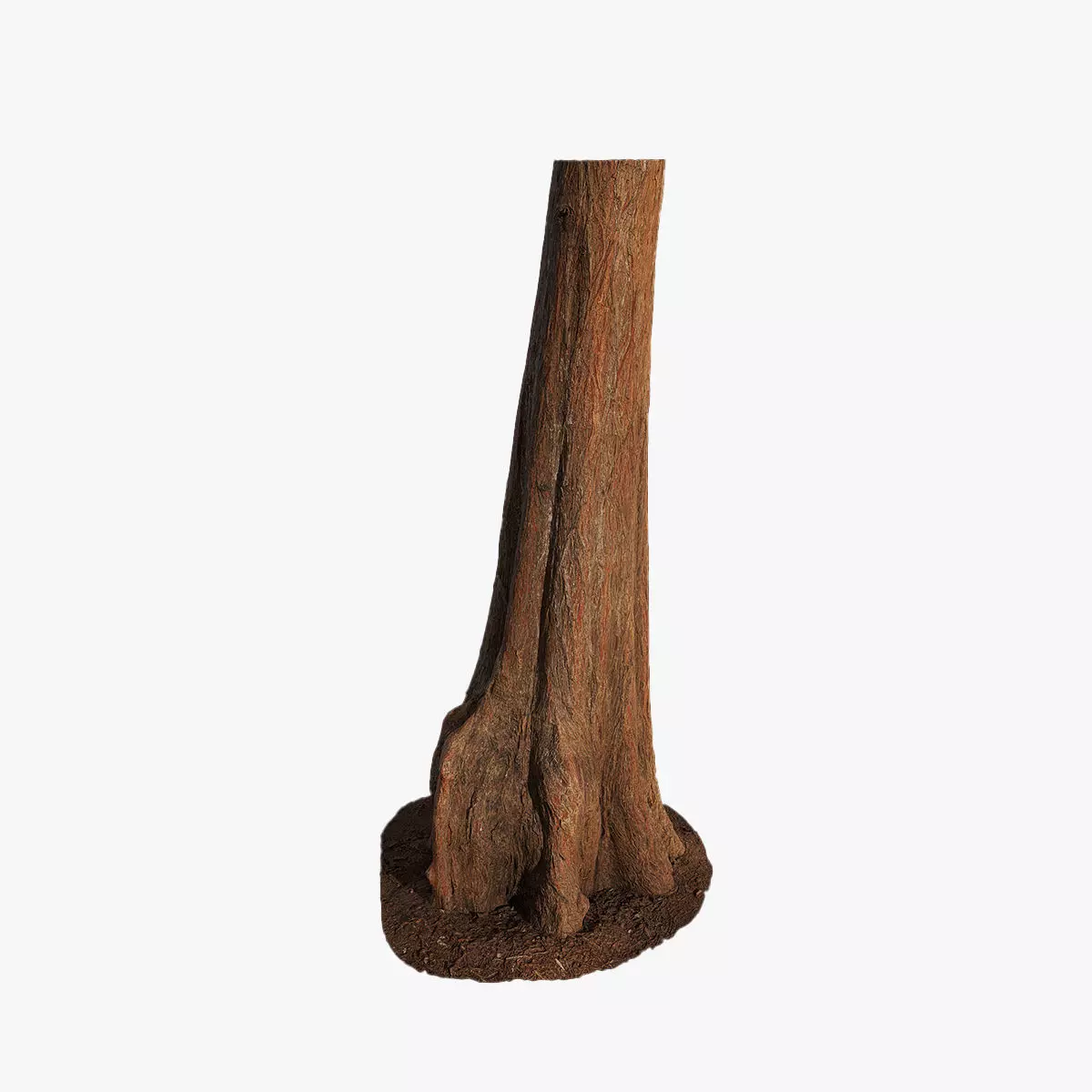 Anydrafts Taxodium ascendens Trunk 04 Low-poly 3D model