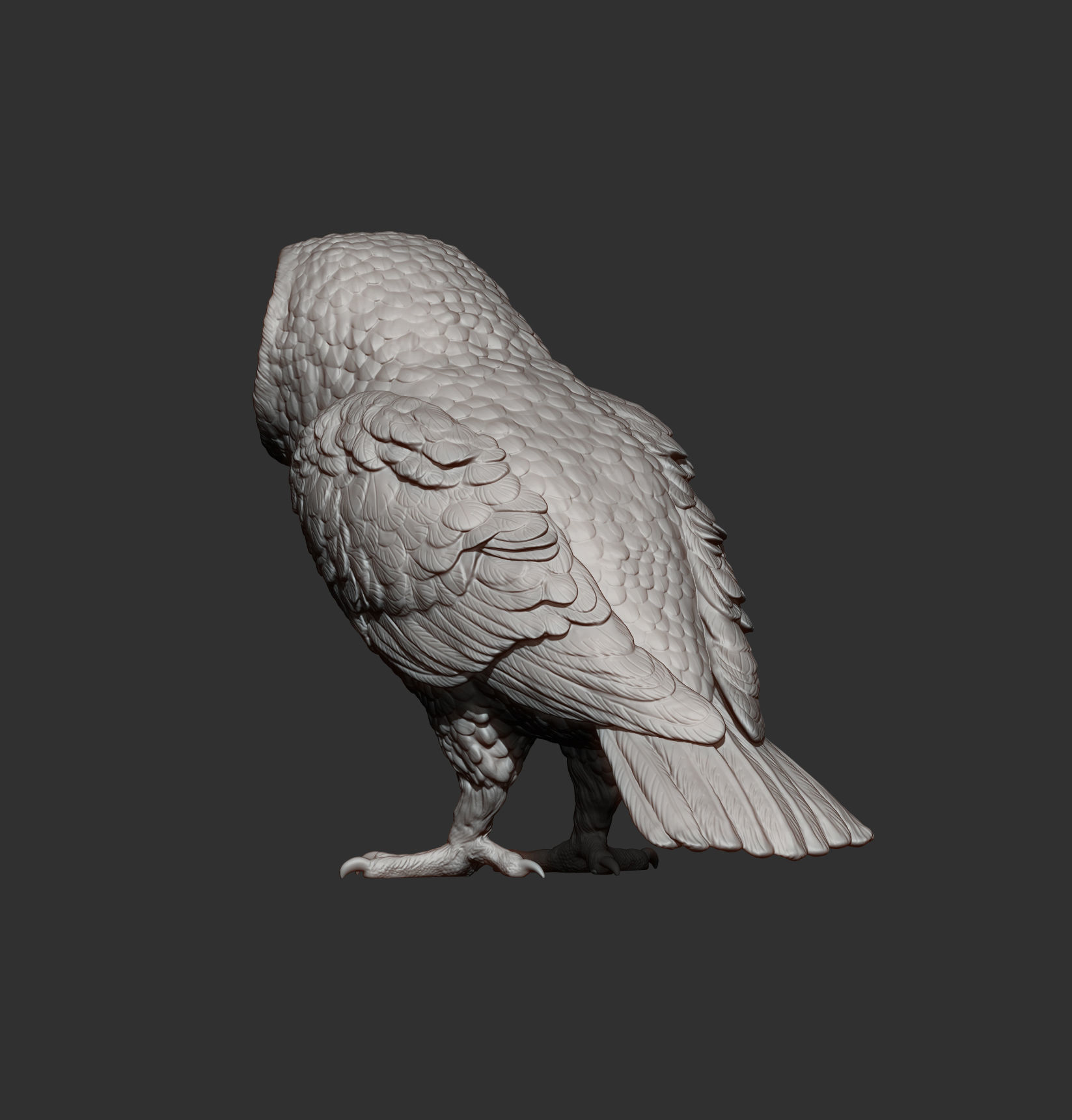 Short-eared Owl 3D print model_10