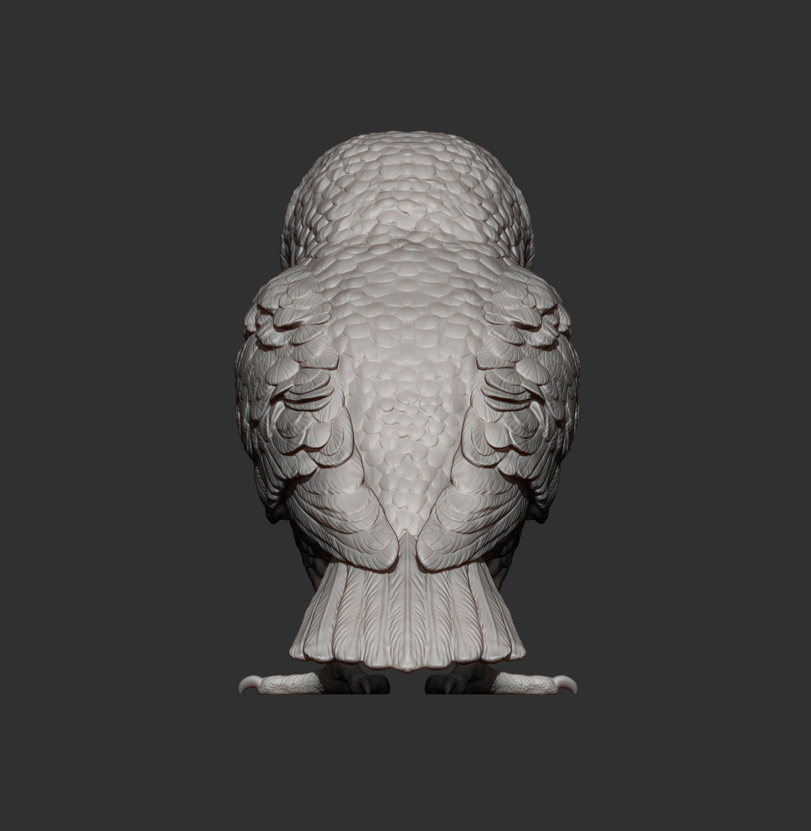 Short-eared Owl 3D print model_11
