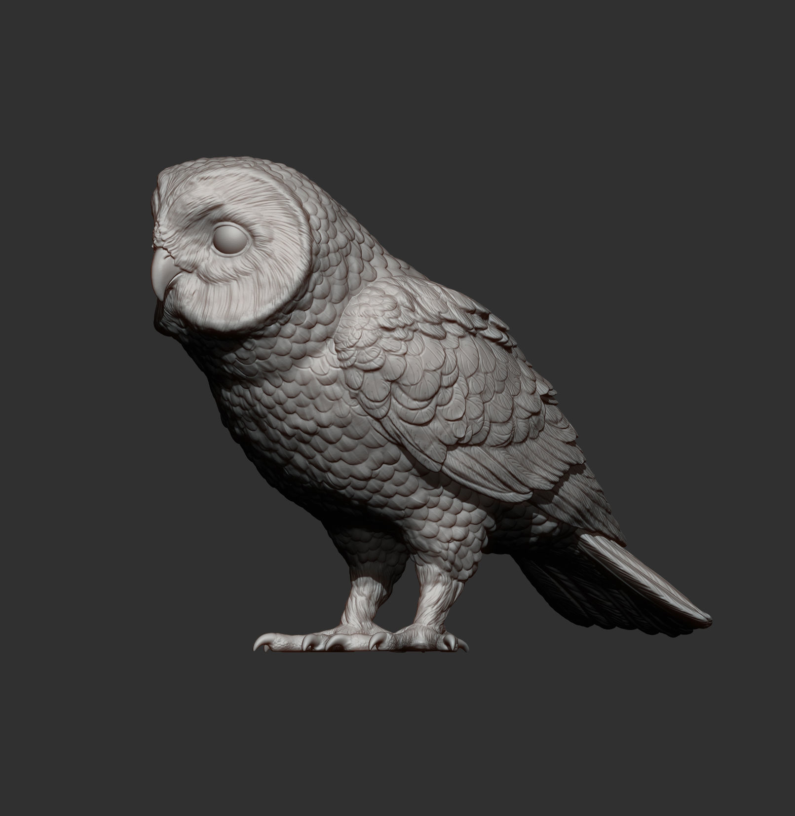 Short-eared Owl 3D print model_7