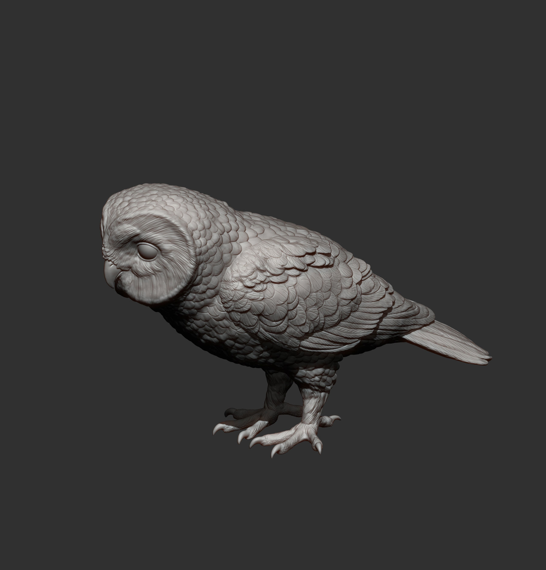 Short-eared Owl 3D print model_12