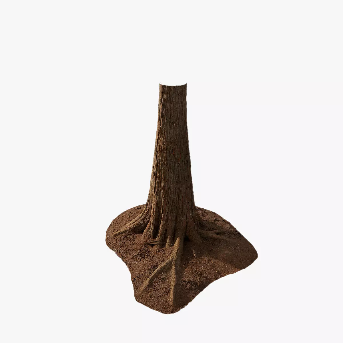 Anydrafts Taxodium ascendens Trunk 05 Low-poly 3D model