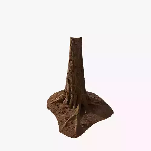 Anydrafts Taxodium ascendens Trunk 05