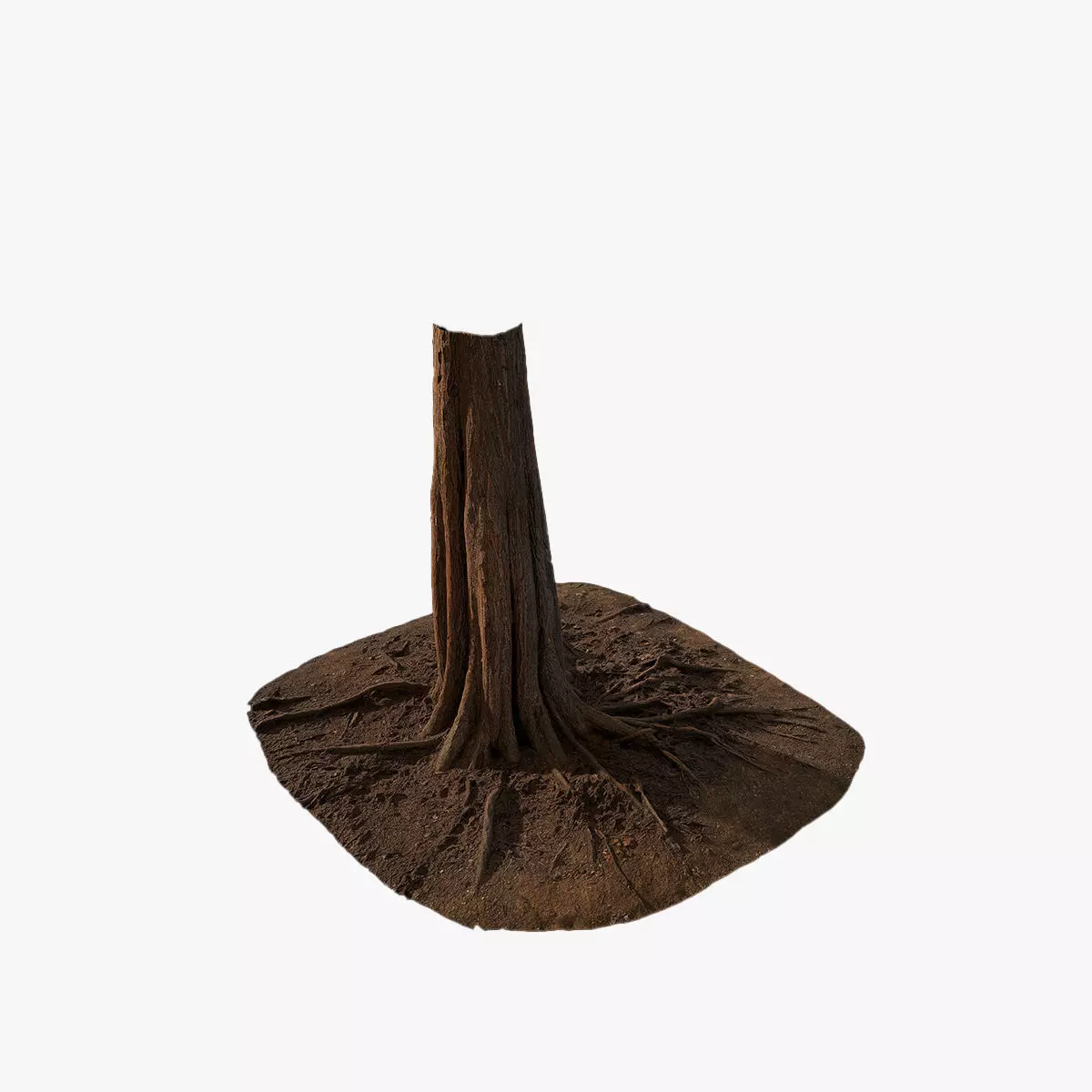 Anydrafts Taxodium ascendens Trunk 07 Low-poly 3D model