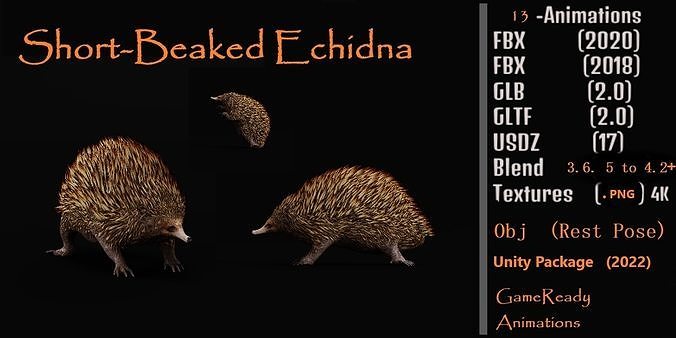 Echidna Low-poly 3D model