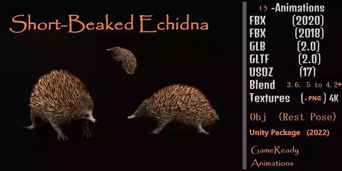 Echidna Low-poly 3D model