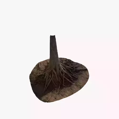 Anydrafts Taxodium ascendens Trunk 08