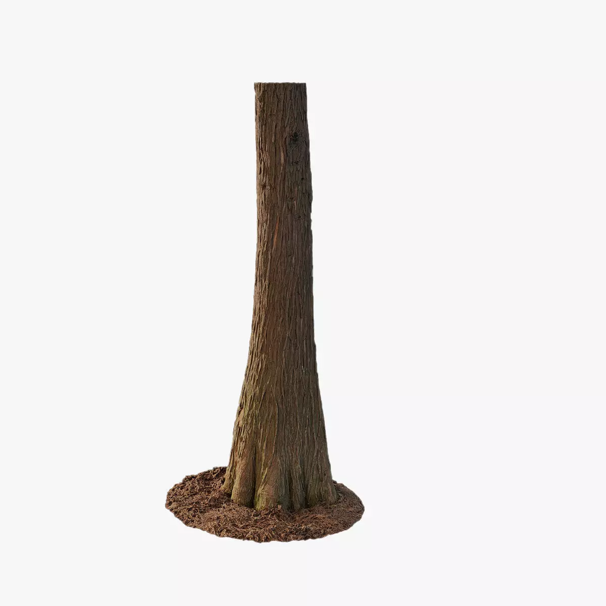 Anydrafts Taxodium ascendens Trunk 09 Low-poly 3D model