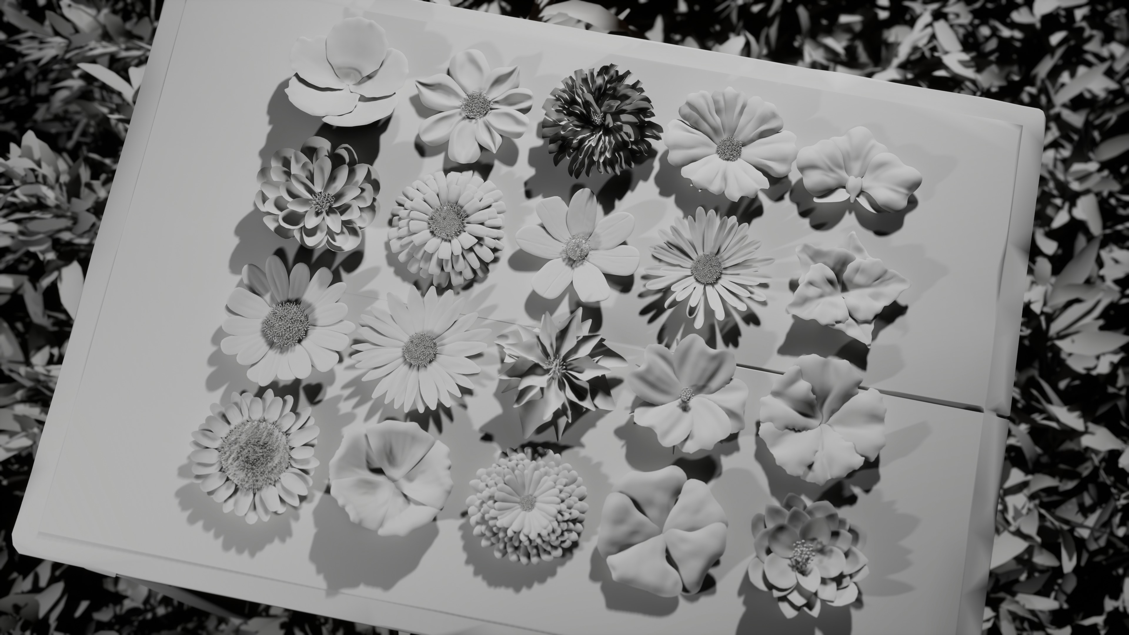 20 Flowers Package 3D model_1