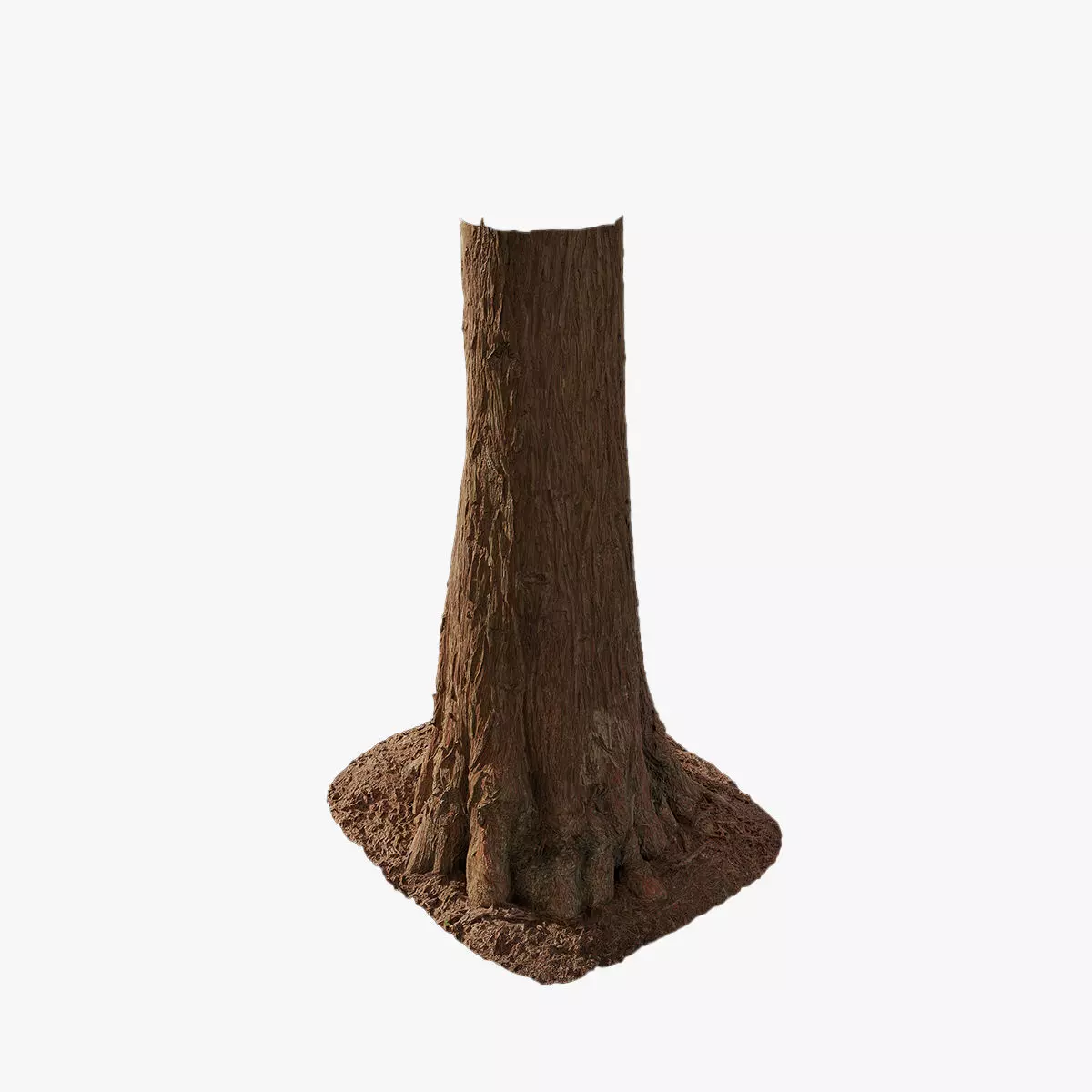 Anydrafts Taxodium ascendens Trunk 10 Low-poly 3D model