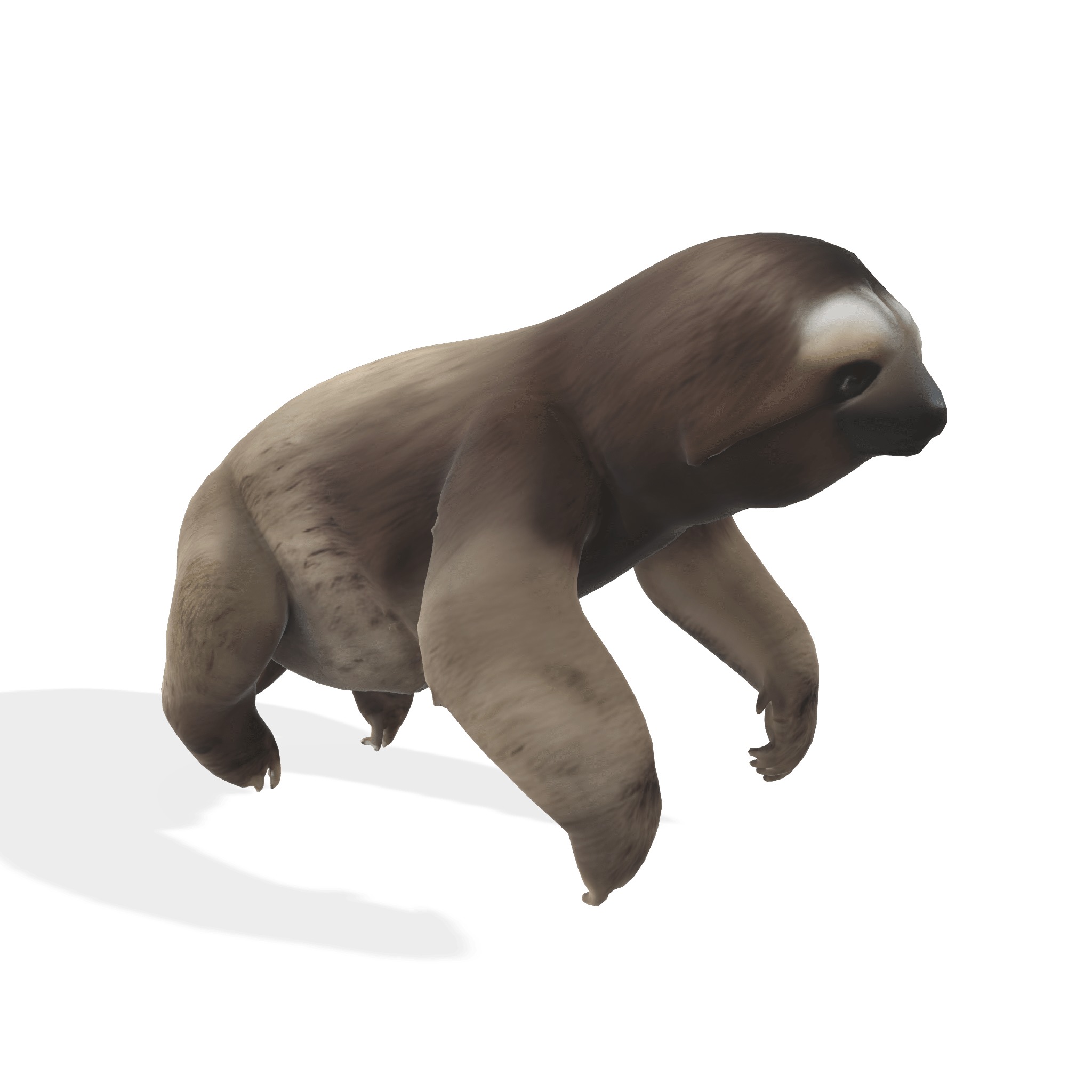Chill the Stylized Sloth 3D model_1