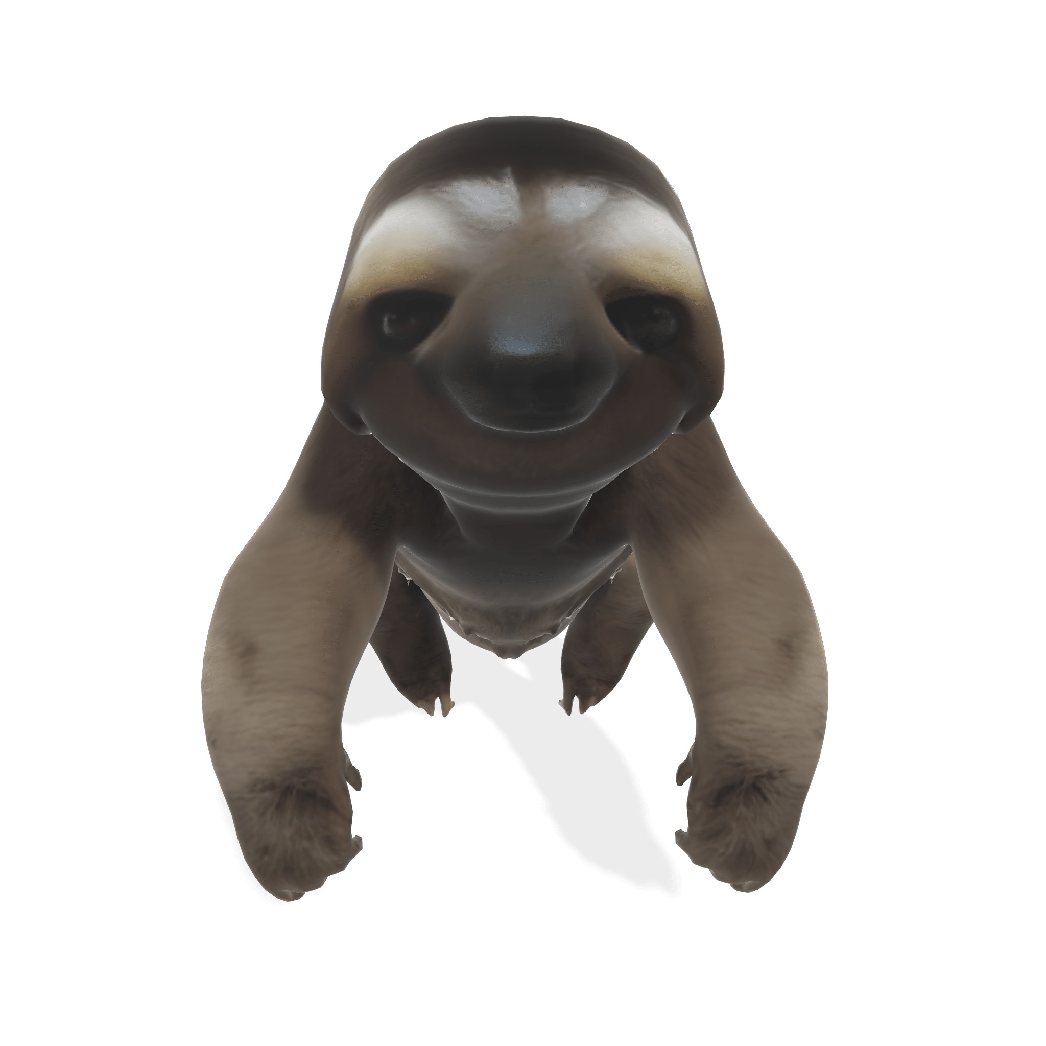 Chill the Stylized Sloth 3D model_4