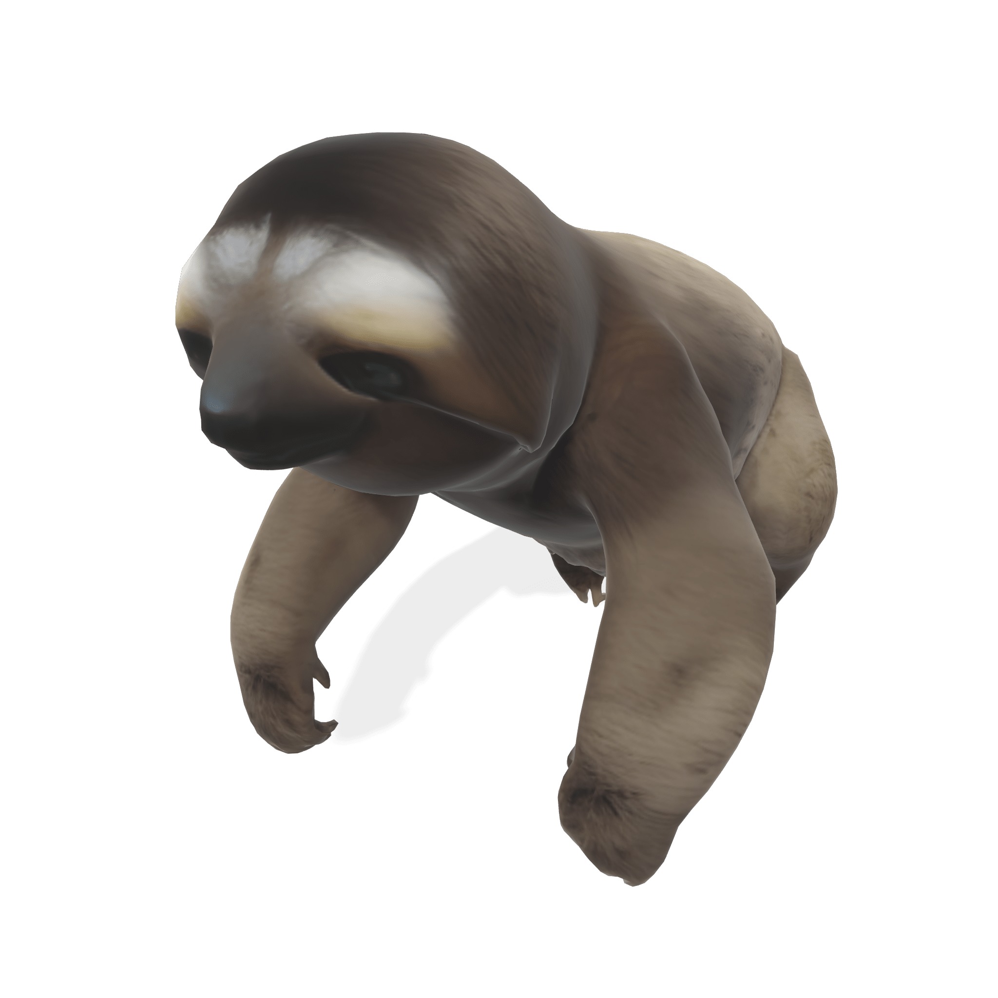 Chill the Stylized Sloth 3D model_7