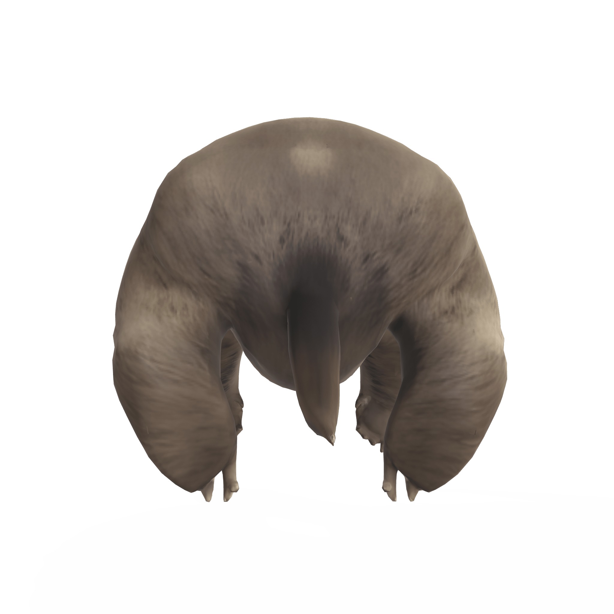 Chill the Stylized Sloth 3D model_6