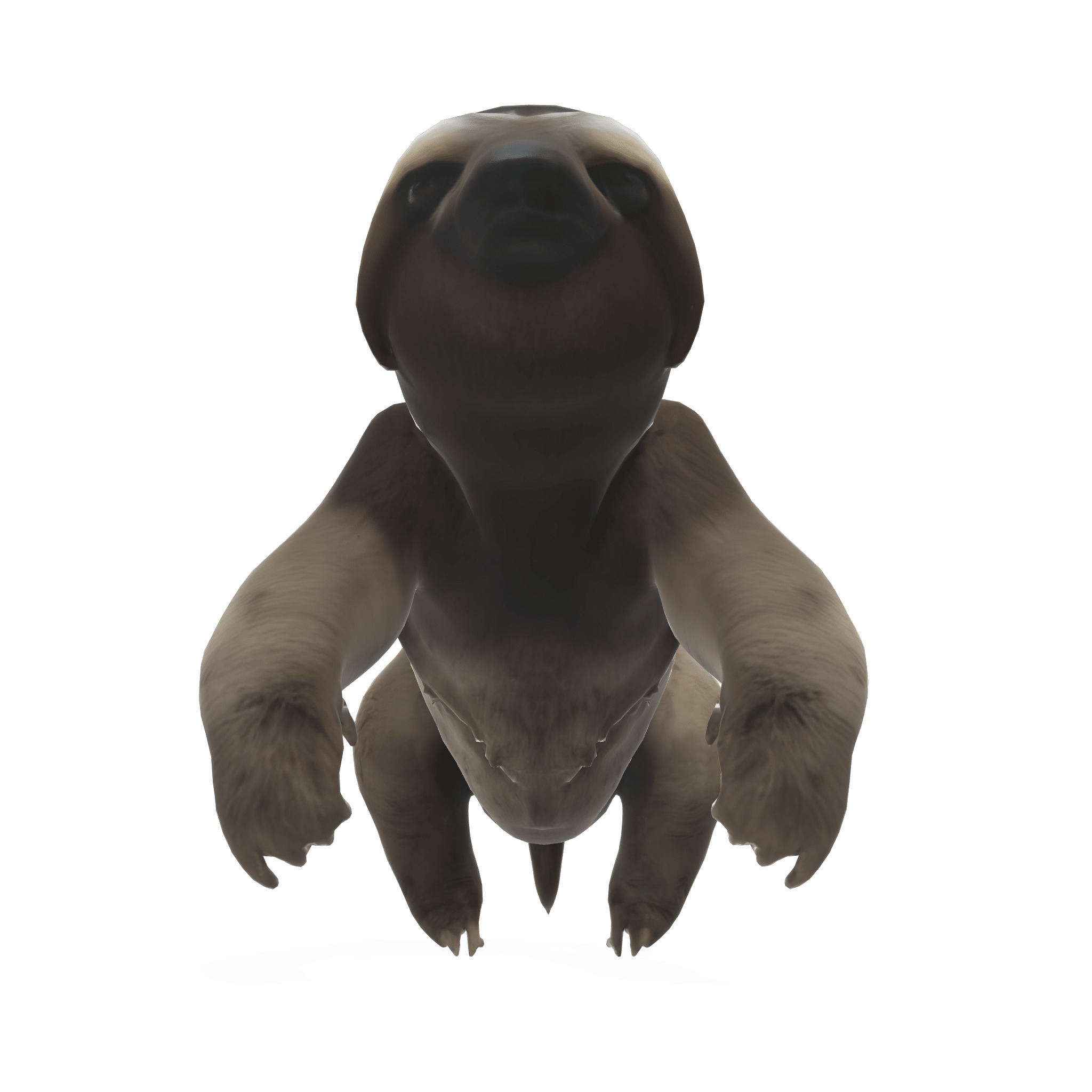 Chill the Stylized Sloth 3D model_5