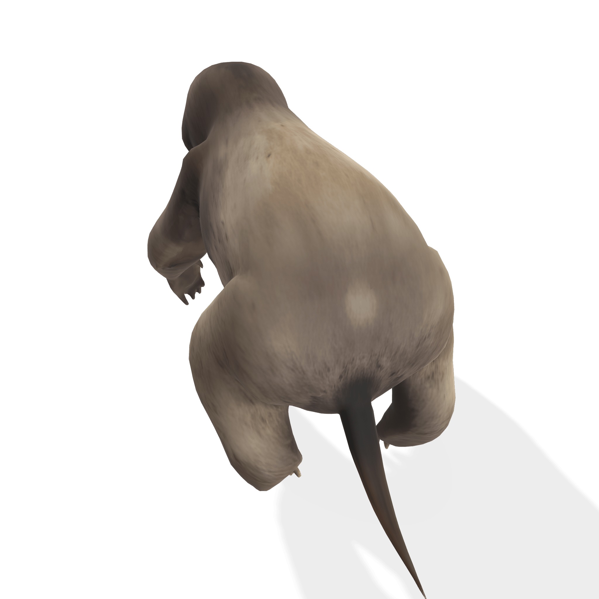 Chill the Stylized Sloth 3D model_3