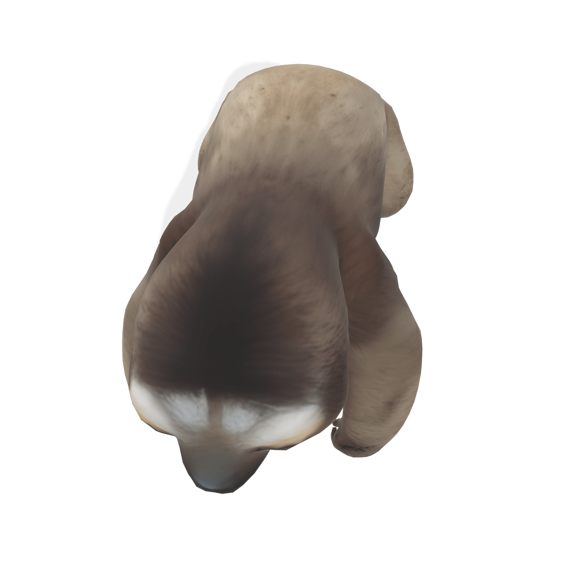 Chill the Stylized Sloth 3D model_2