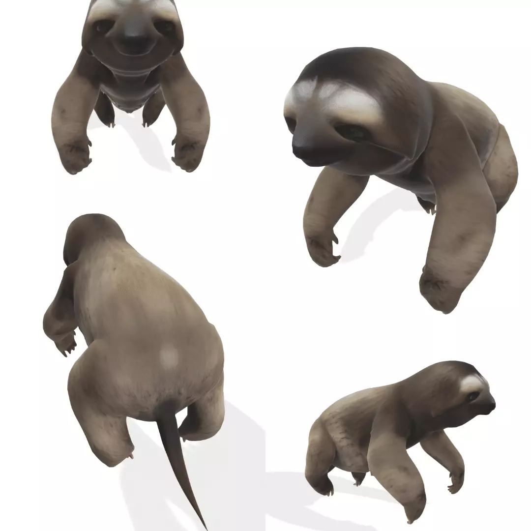 Chill the Stylized Sloth 3D model_0