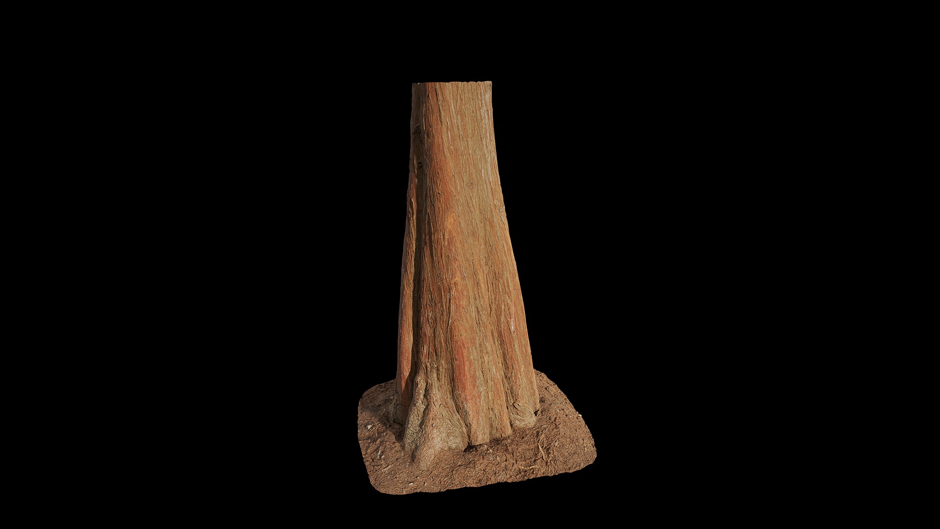 Anydrafts Taxodium ascendens Trunk 11 Low-poly 3D model_4
