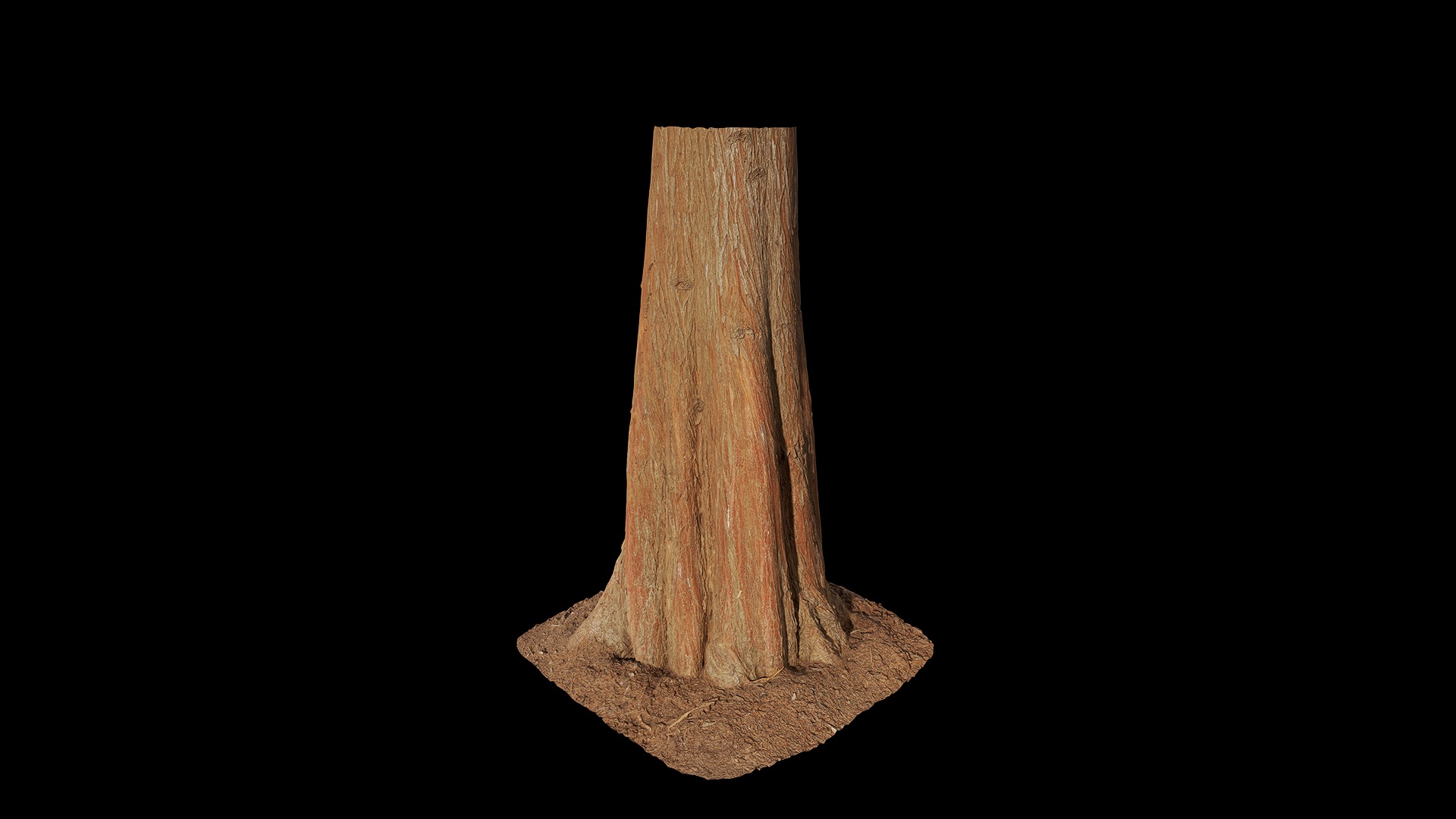 Anydrafts Taxodium ascendens Trunk 11 Low-poly 3D model_6