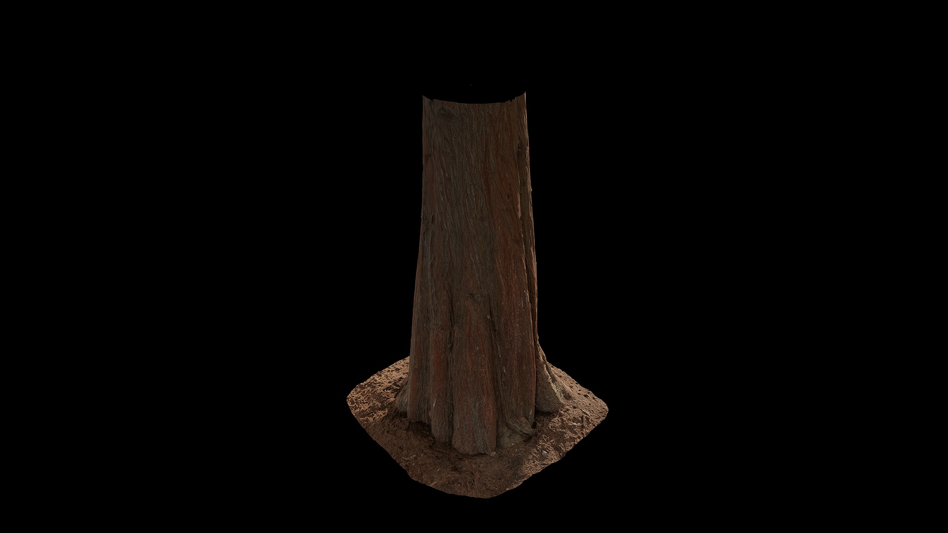 Anydrafts Taxodium ascendens Trunk 11 Low-poly 3D model_7
