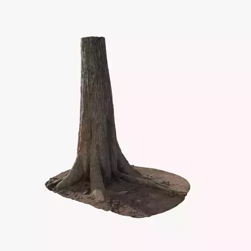 Anydrafts Taxodium ascendens Trunk 13