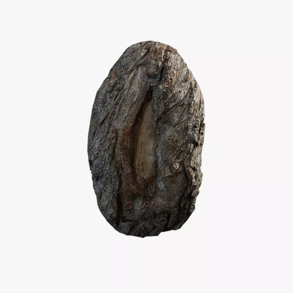 Anydrafts Toxicodendron vernicifluum Burl 04 Low-poly 3D model