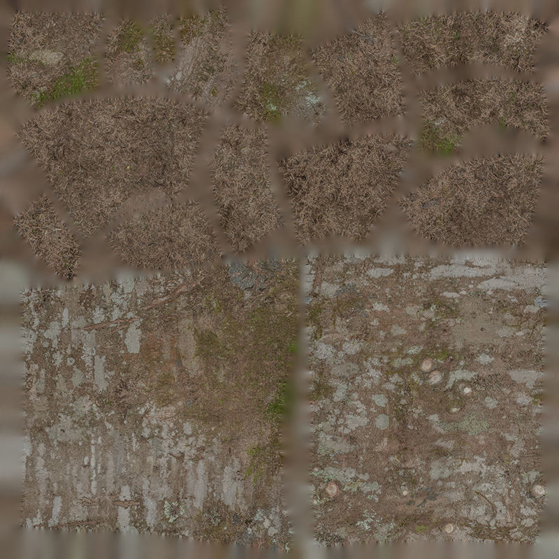 Anydrafts Tsuga chinensis Trunk 01 Low-poly 3D model_1