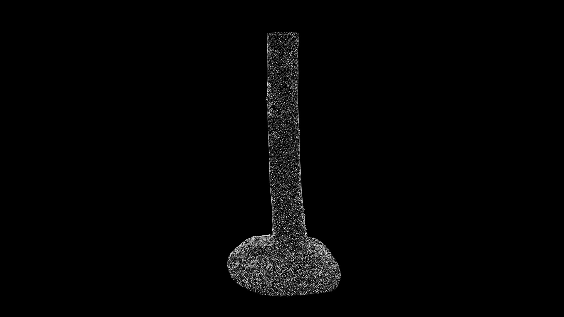 Anydrafts Tsuga chinensis Trunk 01 Low-poly 3D model_3