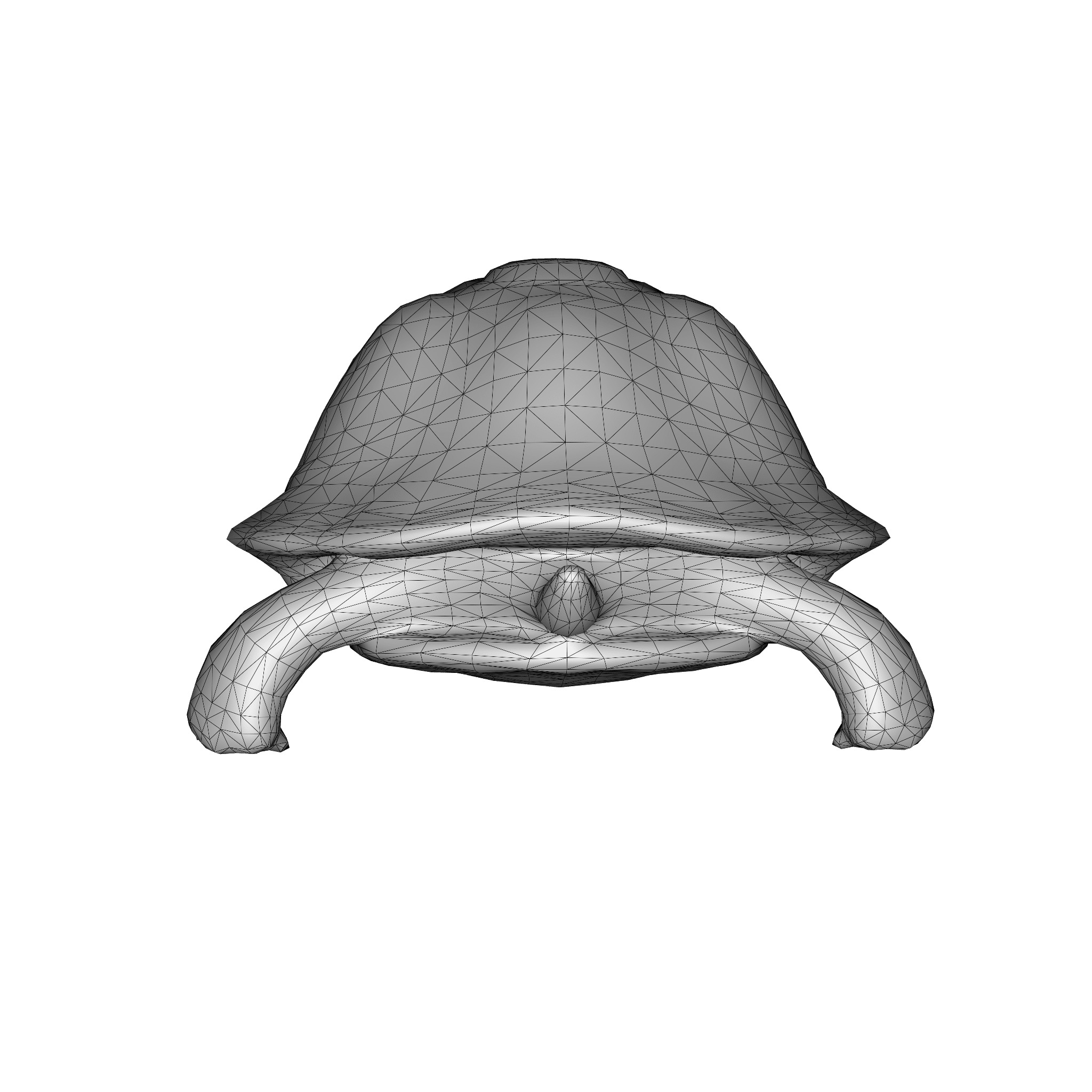 Stylized Tortoise 3D model_13