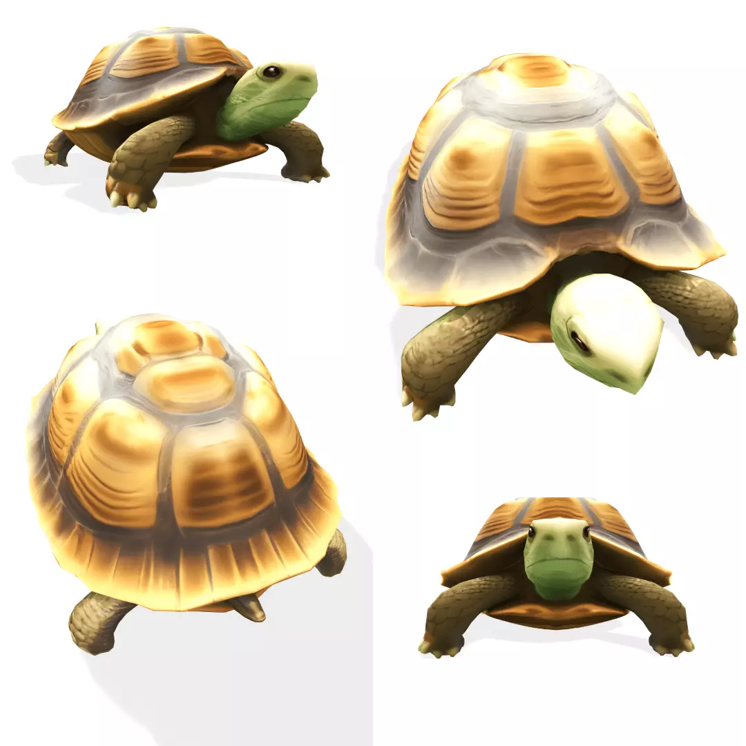 Stylized Tortoise 3D model_0