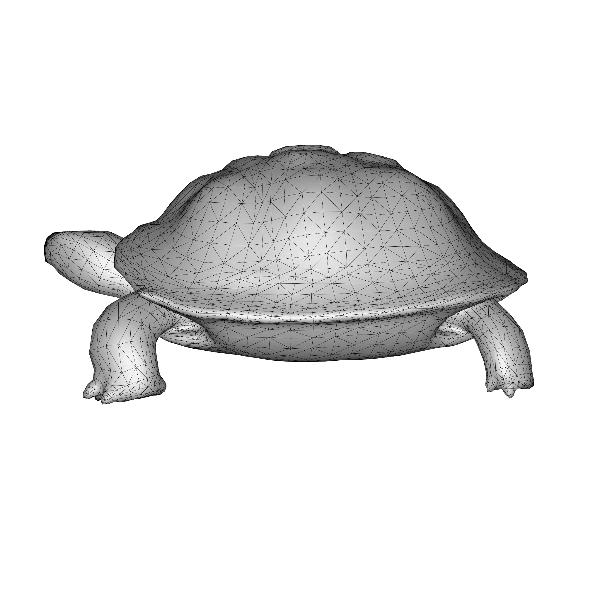 Stylized Tortoise 3D model_12