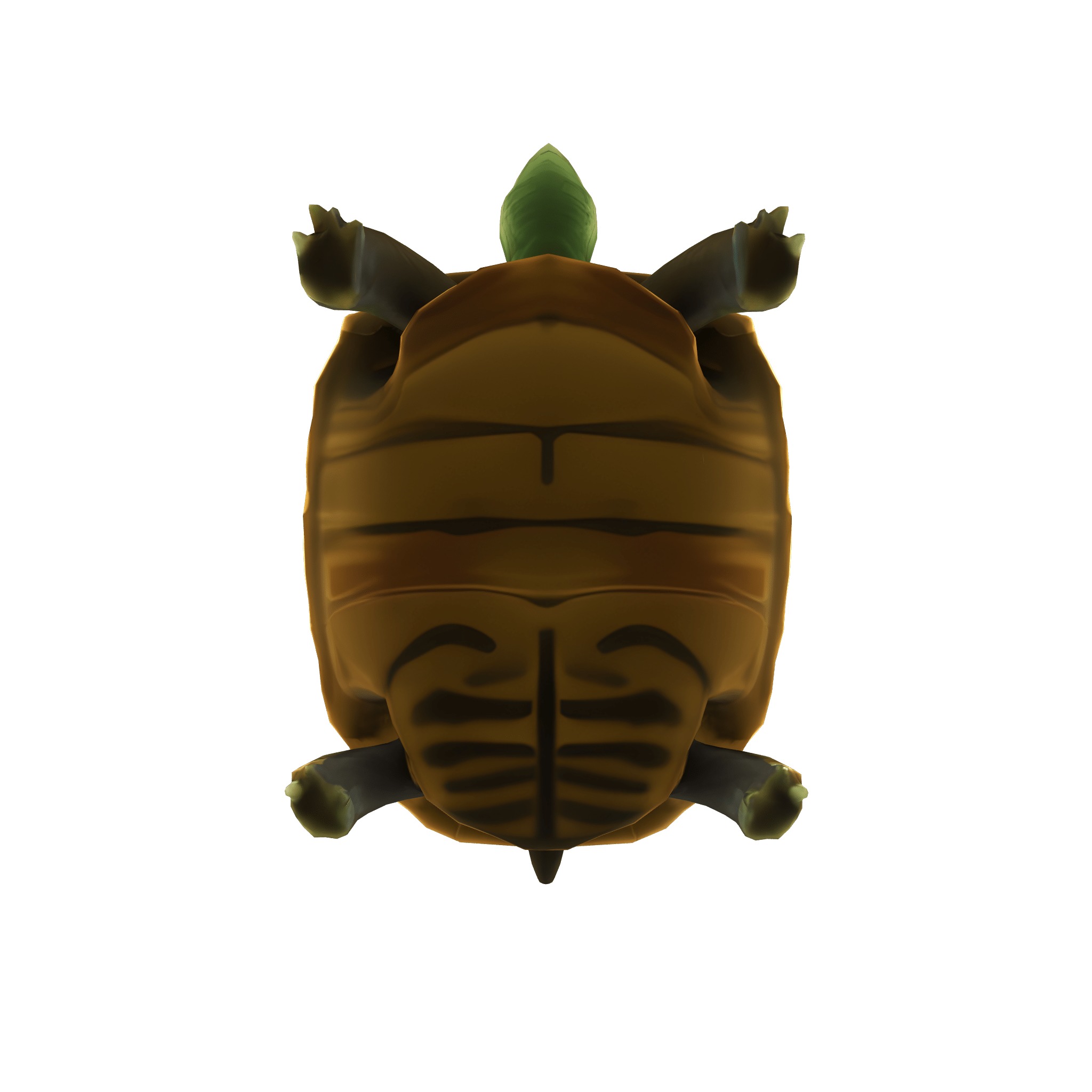 Stylized Tortoise 3D model_10