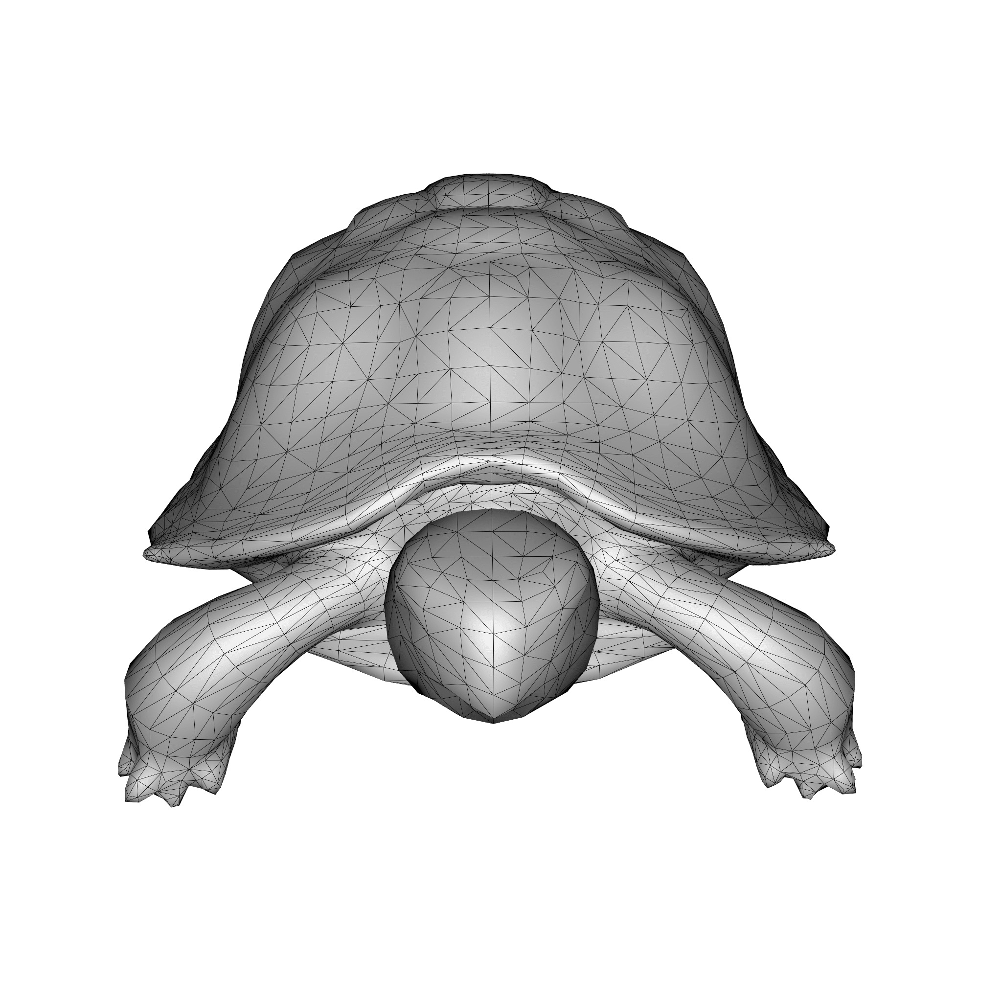 Stylized Tortoise 3D model_11