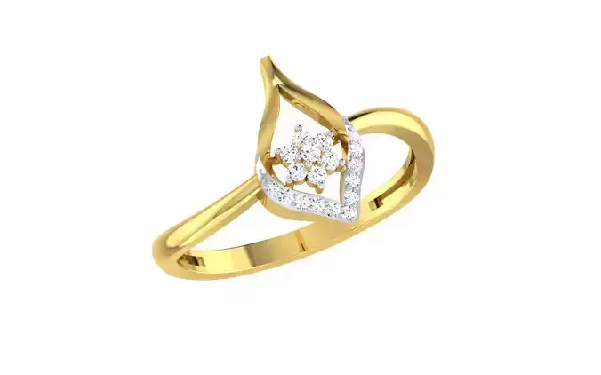 Women Ring  Render 3dm STL OBJ FBX Details