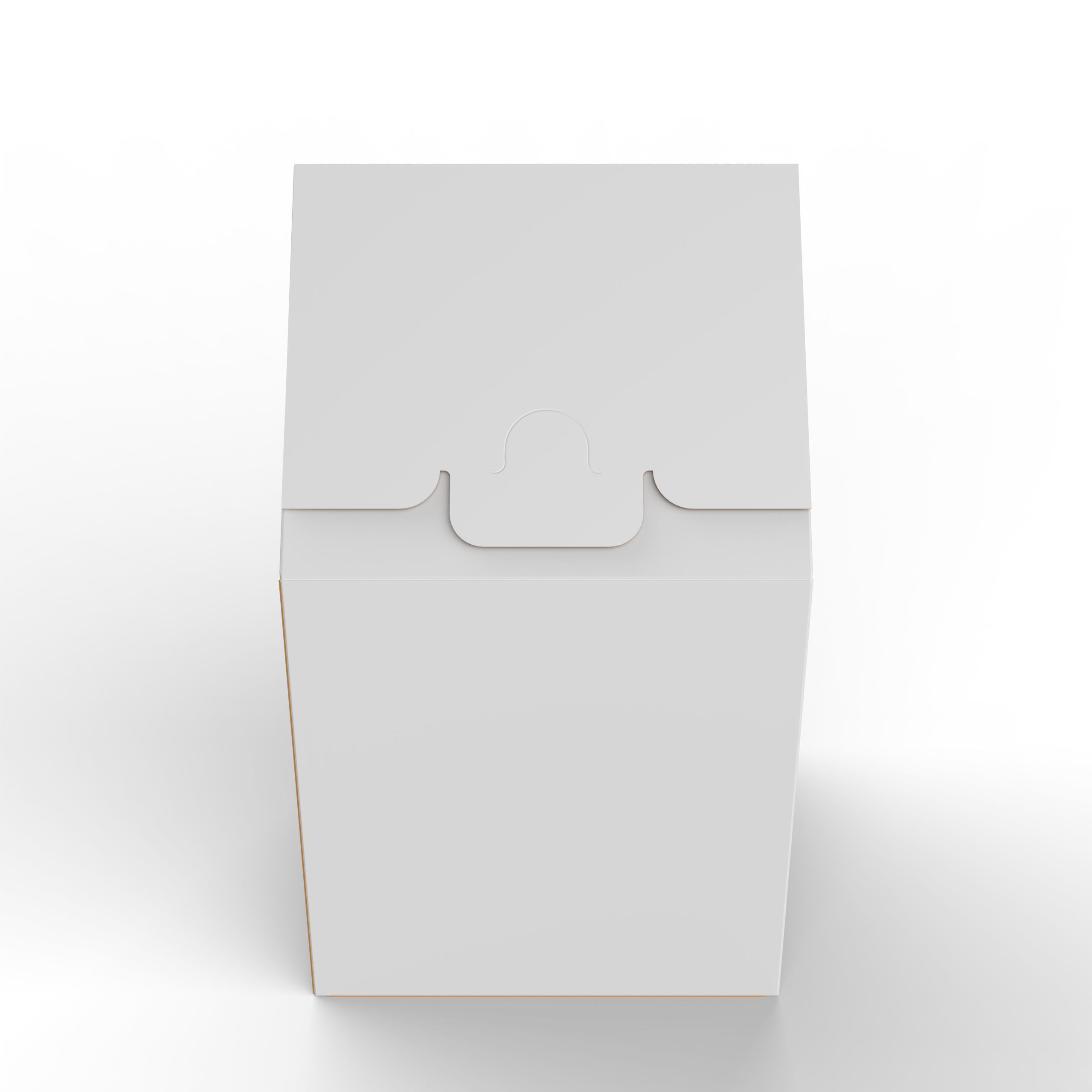 Gable Top Cardboard Packaging Box 120x120x80mm Texture_1