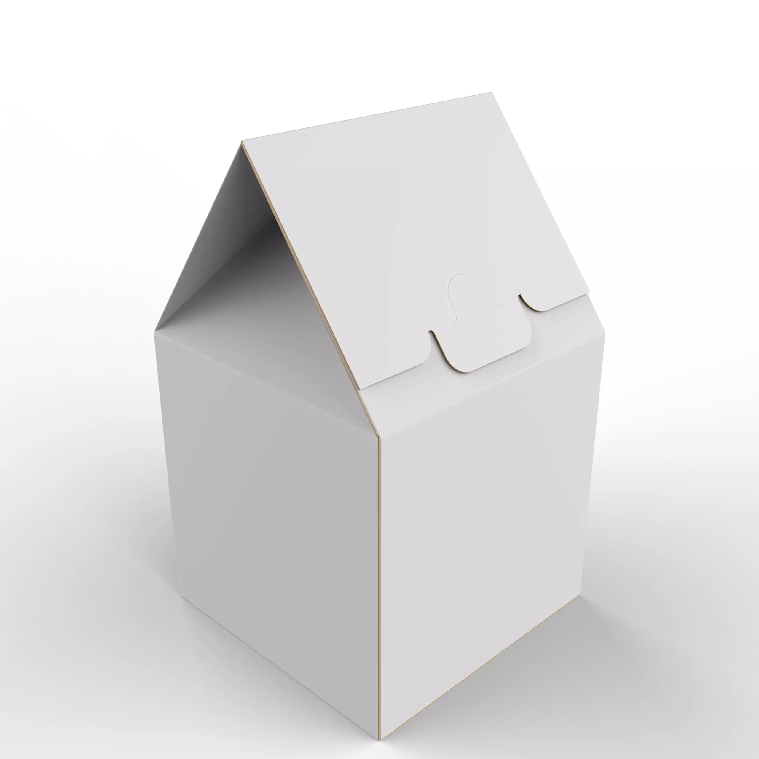 Gable Top Cardboard Packaging Box 120x120x80mm Texture_0