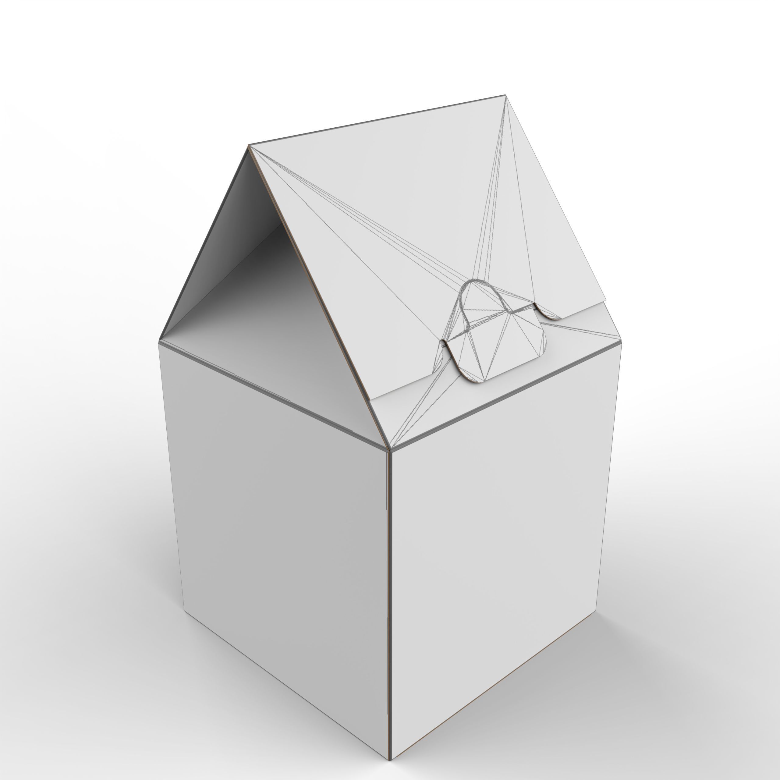 Gable Top Cardboard Packaging Box 120x120x80mm Texture_3