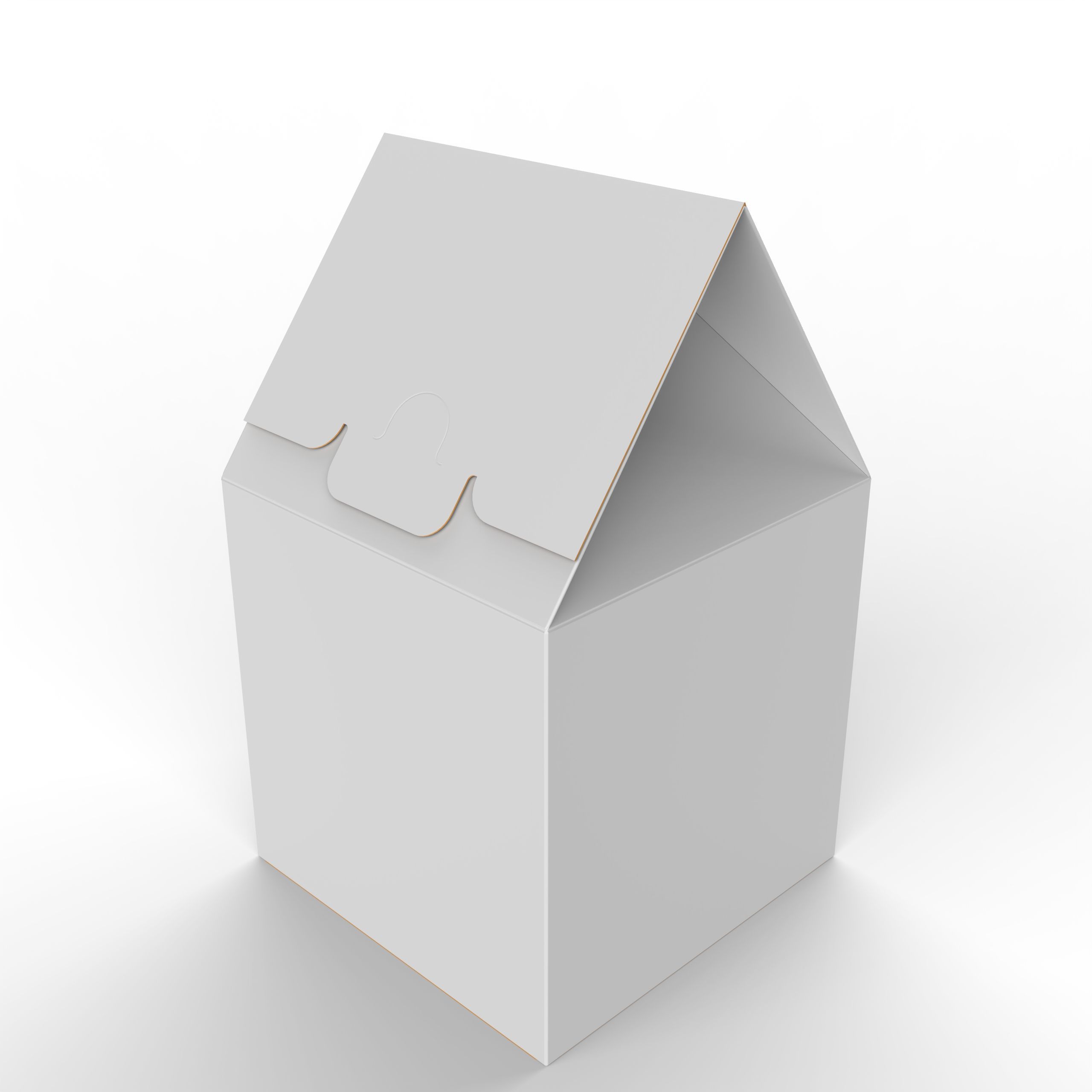 Gable Top Cardboard Packaging Box 120x120x80mm Texture_2