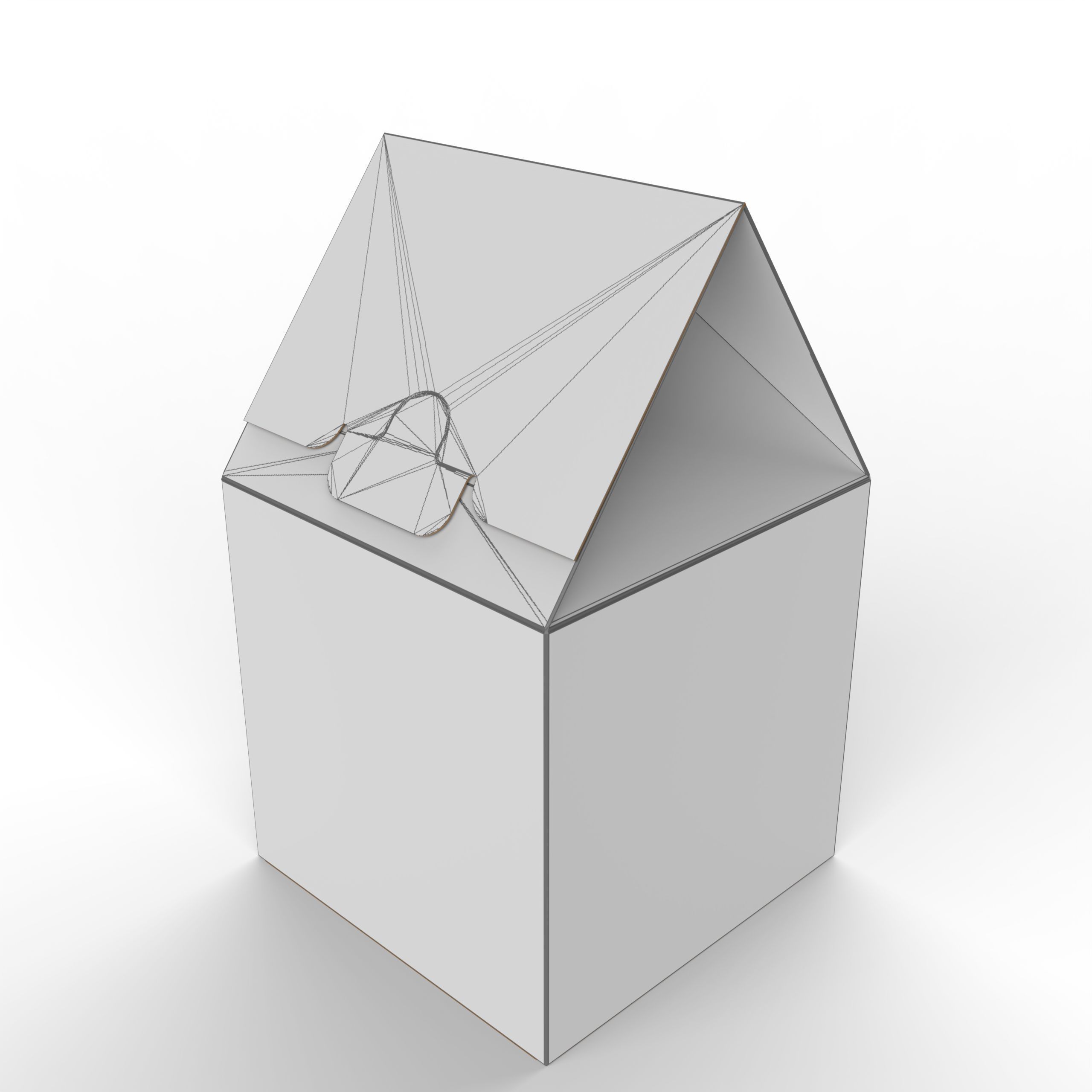 Gable Top Cardboard Packaging Box 120x120x80mm Texture_5