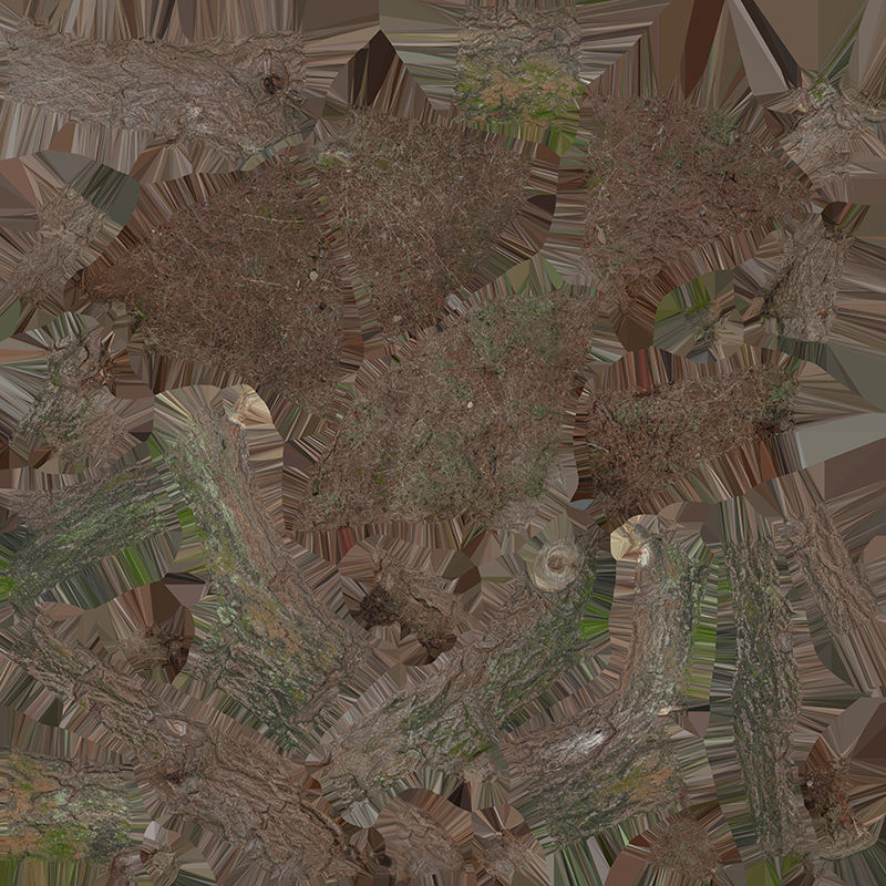 Anydrafts Ulmus americana Trunk 01 Low-poly 3D model_1