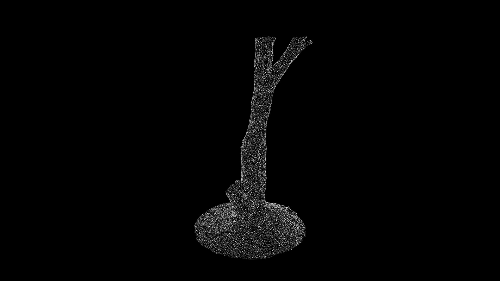 Anydrafts Ulmus americana Trunk 01 Low-poly 3D model_3