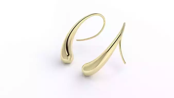 Teardrop Earrings 