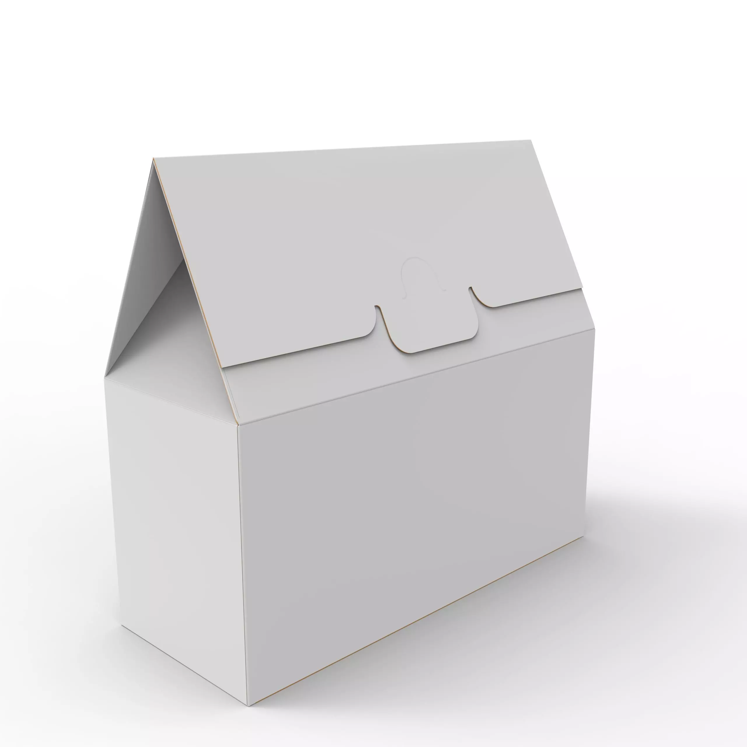 Gable Top Cardboard Packaging Box 200x100x80mm Texture