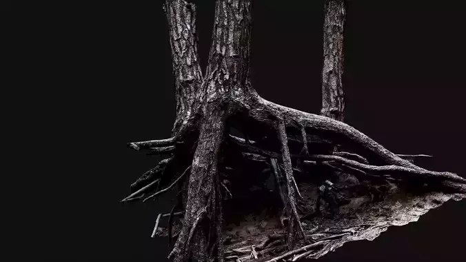 trees pine dense roots set photogrammetry